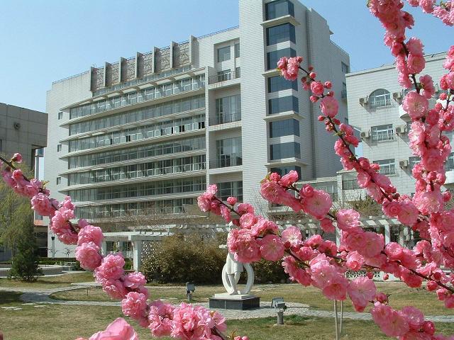 日本屄猛插
